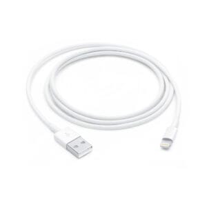 Cable Lightning USB 1 metro