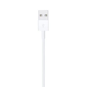 Cable Lightning USB 1 metro