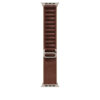Correa Loop Alpine — Burdeos · 49 mm · L · Titanio natural