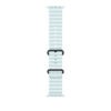 Correa Ocean — Azul hielo · 49 mm · Titanio negro